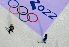 艺赛旗&金蝶（中国）预祝2022冬奥会圆满成功
